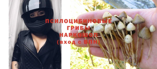 мет Белокуриха